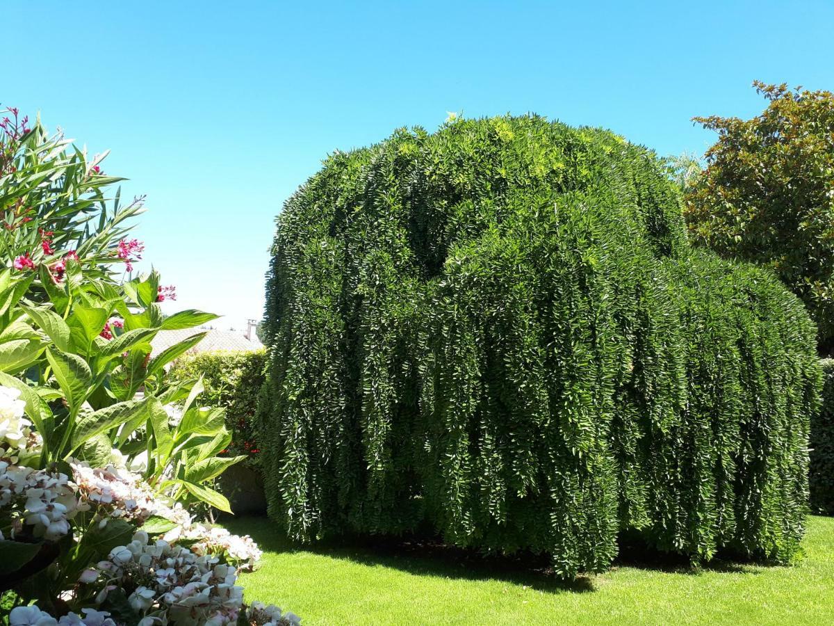 Maison Ruisseau L'Eau Blanche เลโอนญ็อง ภายนอก รูปภาพ